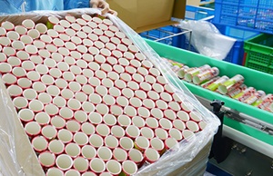 市面上紙罐包裝價(jià)格波動大嗎？